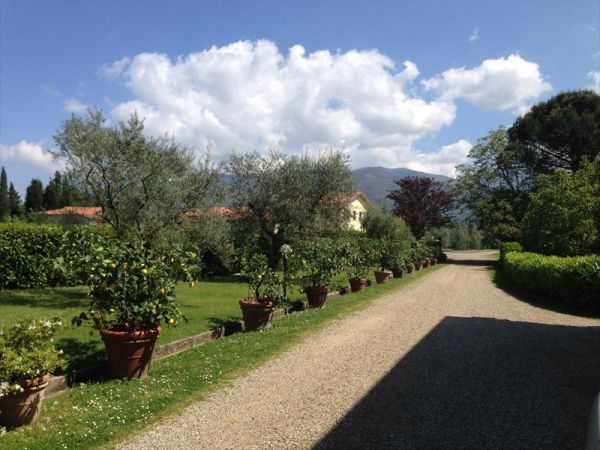 Villa il Crocicchio - foto 29441.jpg