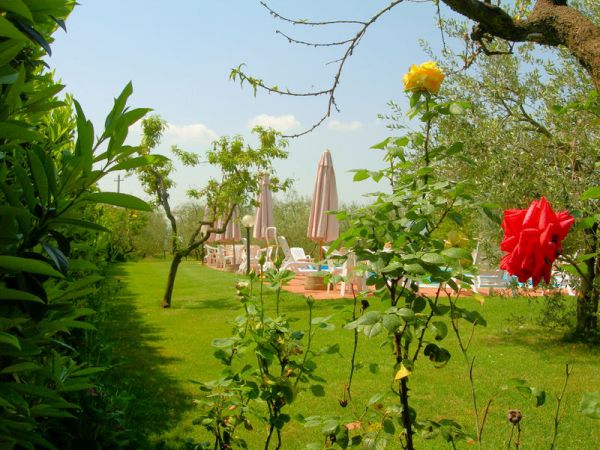 Villa il Crocicchio - foto 29444.jpg