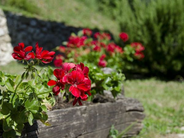 Agriturismo La Foce - foto 29451.jpg