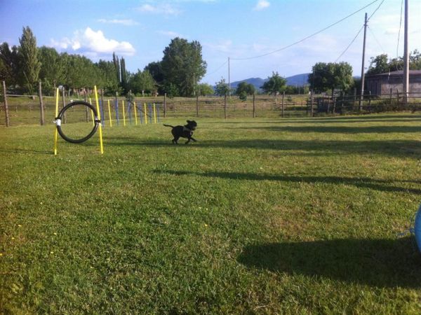 Casa di Campagna in Toscana - foto 29592.jpg