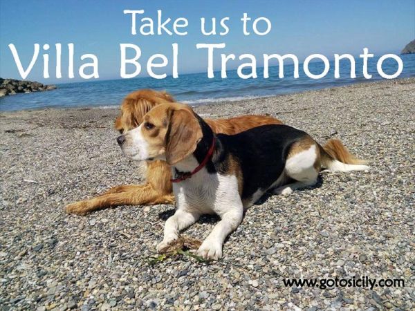 Go to Sicily - foto 29806.jpg