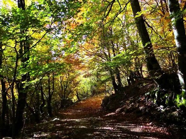 Hotel Holidays - foto 29880.jpg