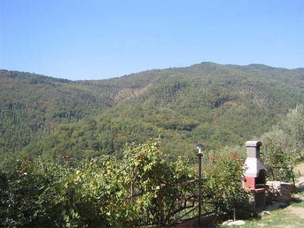 Agriturismo Podere Vicoferaldi - foto 7318.jpg