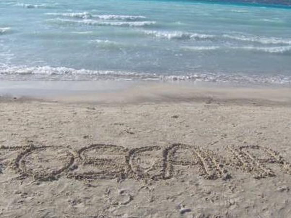 Agriturismo Il Gelso - foto 29999.jpg