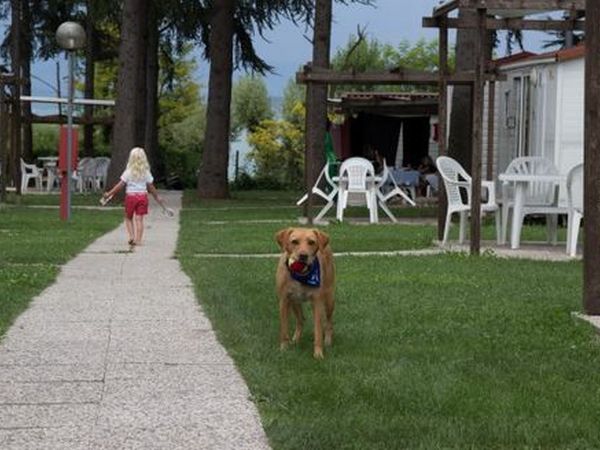 San Benedetto Camping Relais - foto 30082.jpg