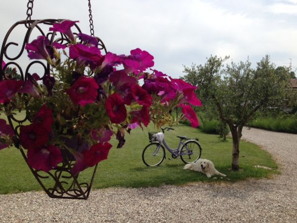 Agriturismo Casa Aurora - foto 30148.jpg