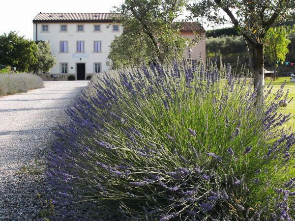 Agriturismo Casa Aurora - foto 30151.jpg