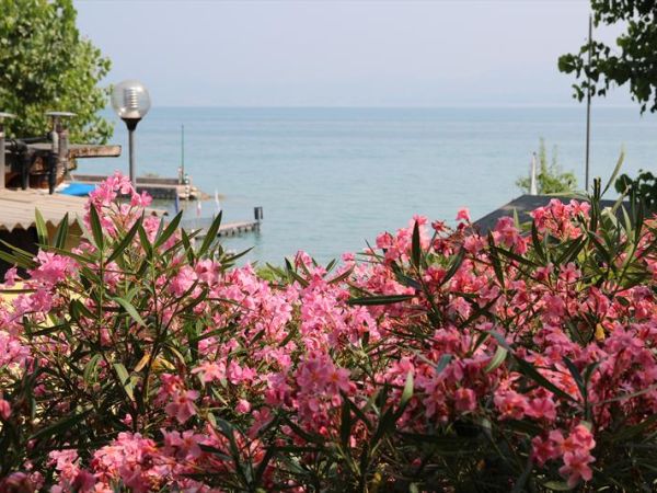 San Benedetto Camping Relais - foto 30181.jpg