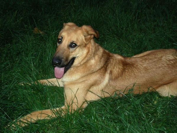 B&B Cascina Bezzecca - foto 30196.jpg