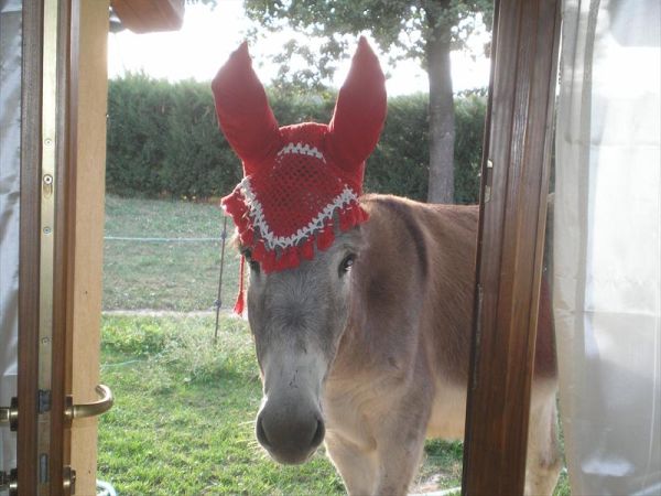 B&B Cascina Bezzecca - foto 30197.jpg