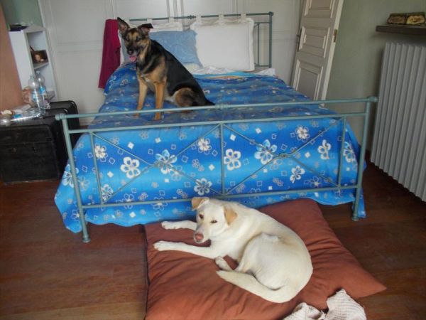 B&B Cascina Bezzecca - foto 30199.jpg