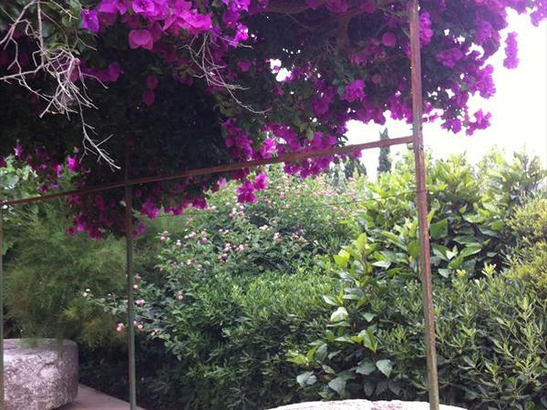 Casa Castellana - foto 30232.jpg