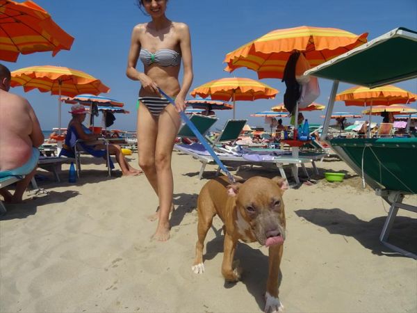 Bagno Wanda - foto 30303.jpg