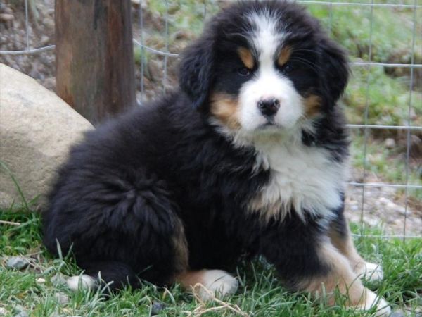 B&B Ambarab - foto 30359.jpg