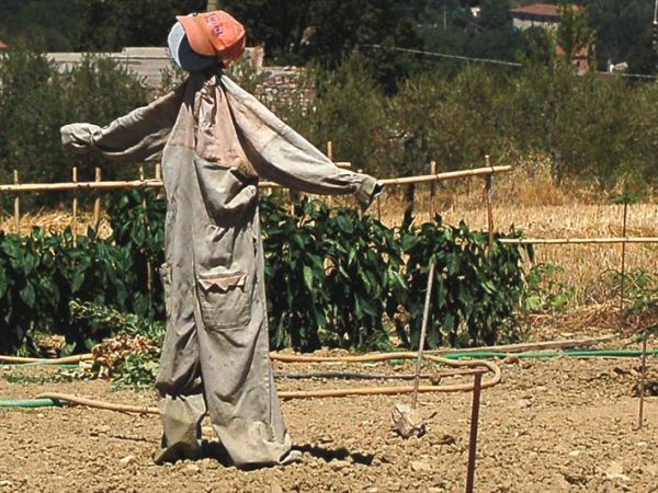 Molino di Molanoce - foto 30385.jpg