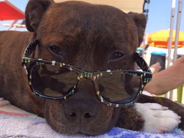 Soleluna Lido Bau Beach  - foto 30462.jpg