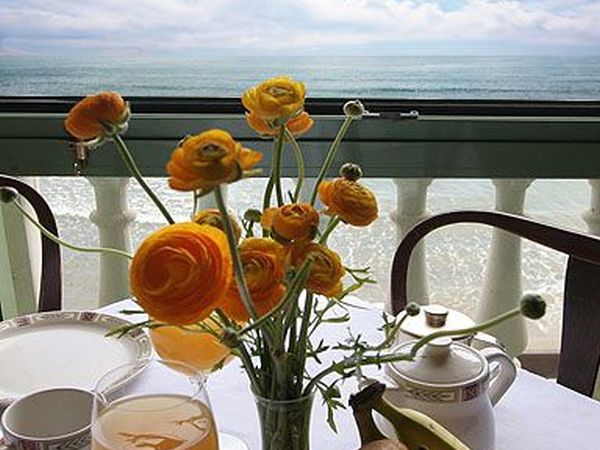 Hotel Badano Sul Mare  - foto 30571.jpg