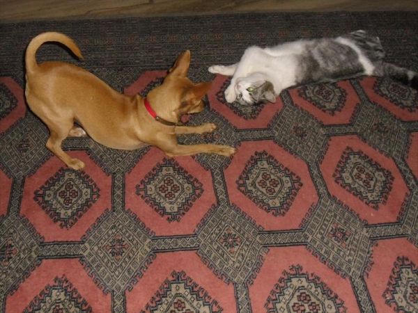 Hotel Naturidylle Geyrerhof - foto 30622.jpg