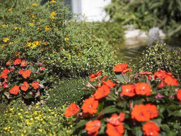 Hotel Brienz - foto 30680.jpg