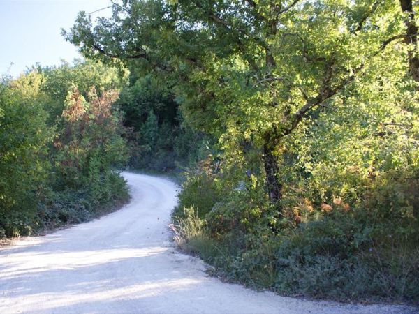 Re Art country lifestyle - foto 31089.jpg