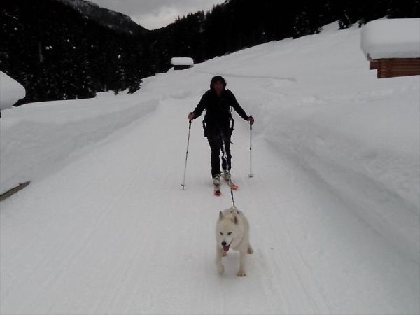 Alpen Hotel Corona Sport & Wellness - foto 31121.jpg