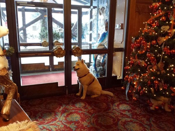 Alpen Hotel Corona Sport & Wellness - foto 31122.jpg