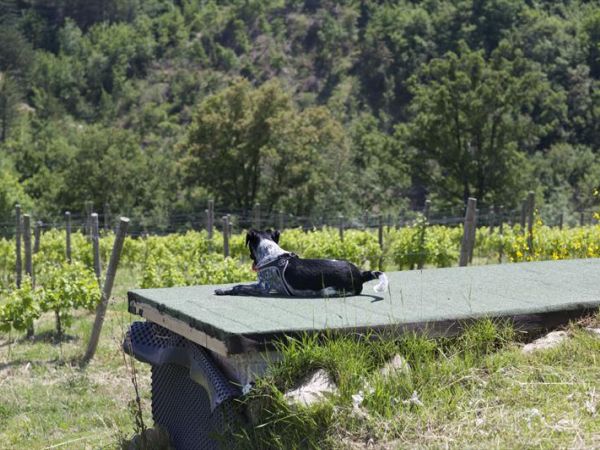 Re Art country lifestyle - foto 31150.jpg