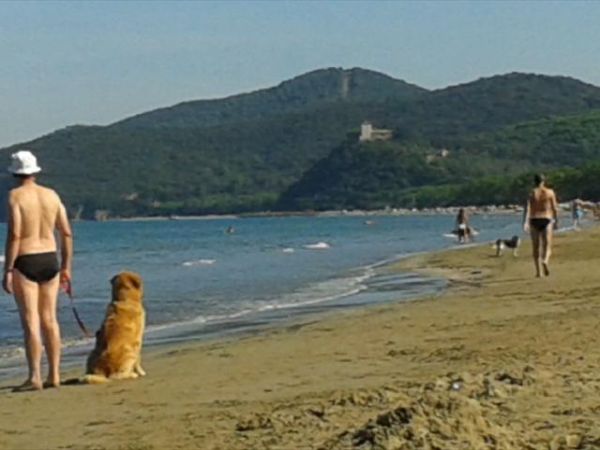 Casa Vacanze Bicchi - foto 31166.jpg