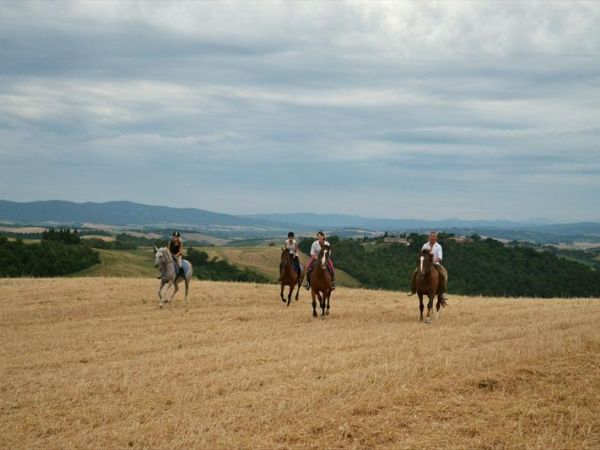 Fattoria Pieve a Salti - foto 31194.jpg