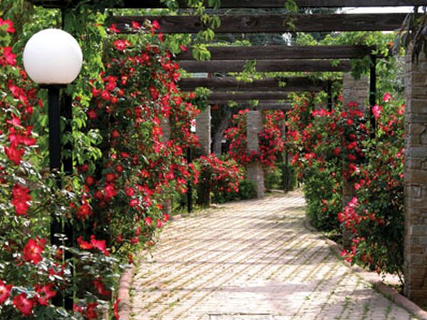 Caravelle Camping Village - foto 2126.jpg