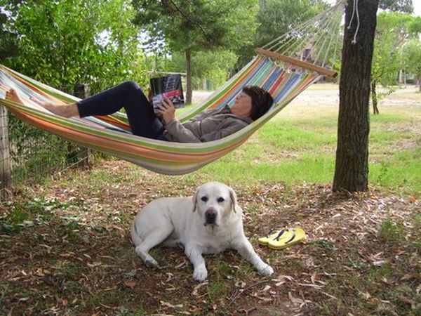 Fattoria Pieve a Salti - foto 31215.jpg