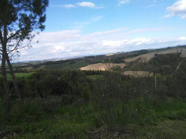 Fattoria Pieve a Salti - foto 31219.jpg