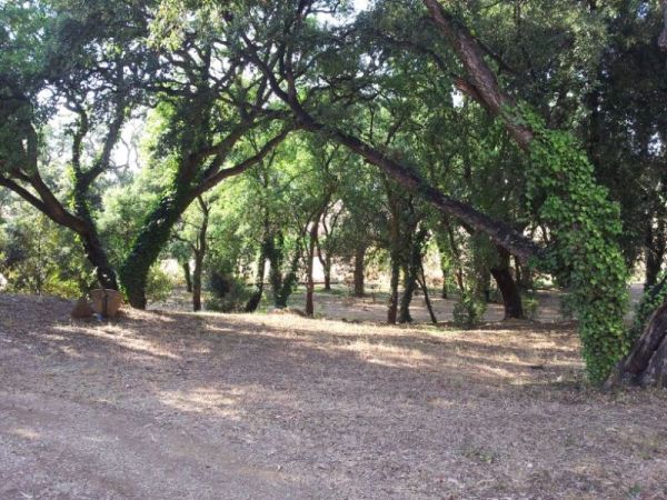 Casa Vacanze La Sainella - foto 31340.jpg