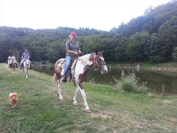 Agriturismo il Giardino - foto 31468.jpg