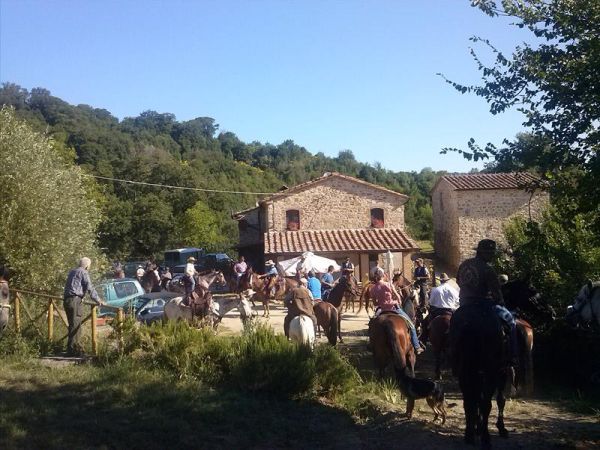 Agriturismo Santa Caterina - foto 31490.jpg