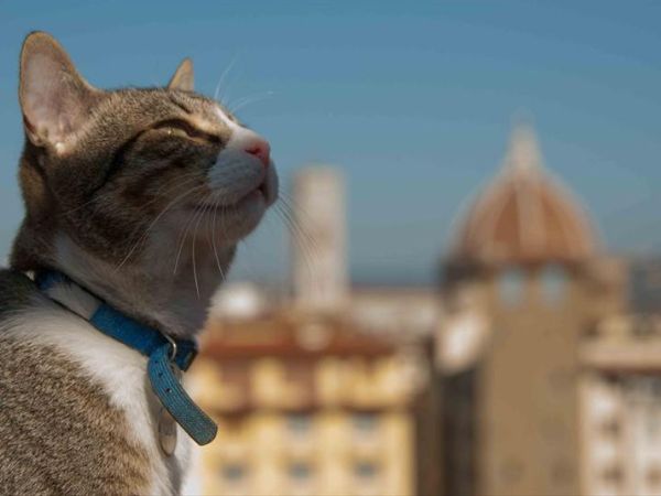 Hotel Pitti Palace al Ponte Vecchio - foto 31504.jpg