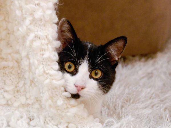 Hotel Pitti Palace al Ponte Vecchio - foto 31505.jpg