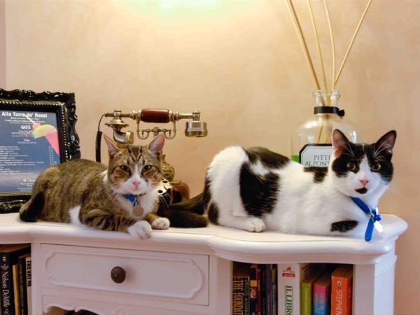 Hotel Pitti Palace al Ponte Vecchio - foto 31508.jpg