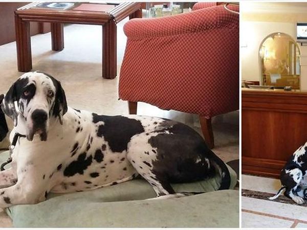 Hotel Pitti Palace al Ponte Vecchio - foto 31536.jpg