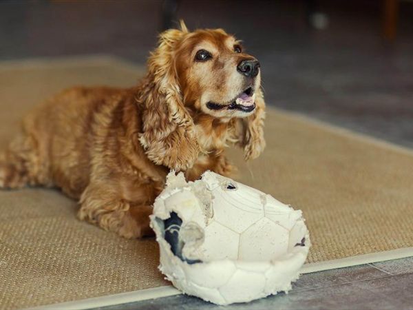 Hotel Villa Igea - foto 31633.jpg