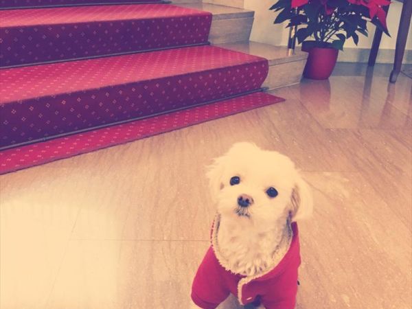 Grand Hotel Passetto - foto 31690.jpg