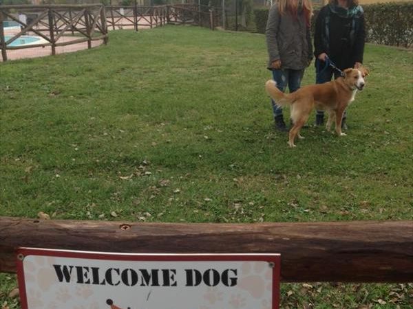 Villaggio Mare Si - foto 31733.jpg