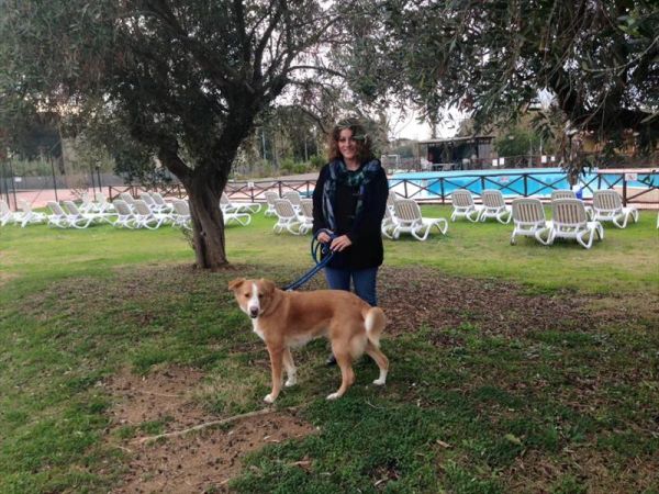 Villaggio Mare Si - foto 31734.jpg