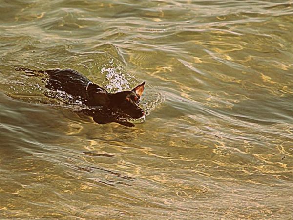 Eden Salento Agri Beach  - foto 31811.jpg