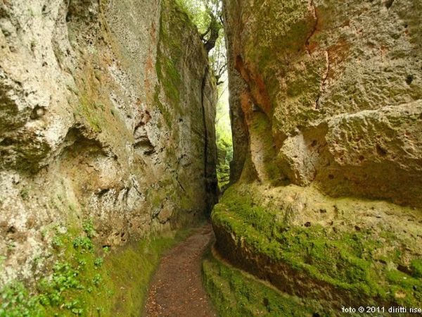 Casa Marta - foto 31875.jpg