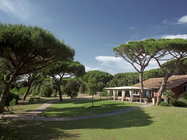 Residence Pineta - foto 31992.jpg