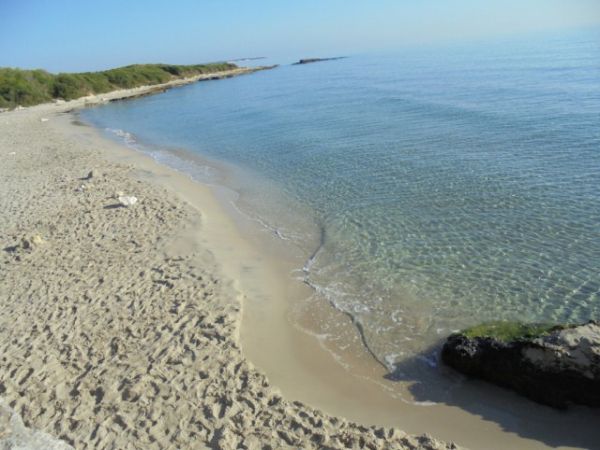 Agriturismo Il Piccolo Lago - foto 32050.jpg