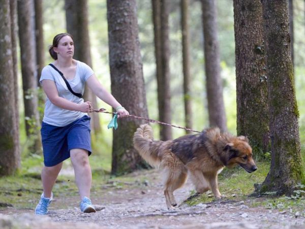 Spiaggia per Cani al Lago di Ledro - foto 32219.jpg