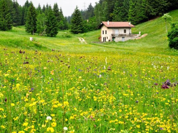 Spiaggia per Cani al Lago di Ledro - foto 32231.jpg