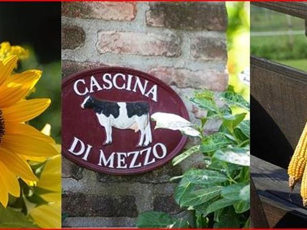 Agriturismo Cascina di Mezzo - foto 32305.jpg